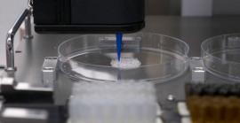Investigadors de la UMH creen pell humana impressa en 3D