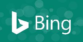 Bing penalitzarà les xarxes de subdominis
