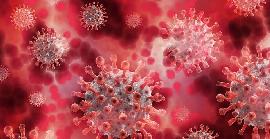 Quins són els virus més perillosos i no tenim vacunes?