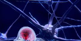 La neurosi pot envellir el teu cervell segons un estudi