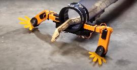 Un youtuber aconsegueix que una serp camini gràcies a unes cames robòtiques