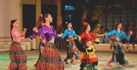 Dia Internacional del Flamenc, per què se celebra cada 16 de novembre?