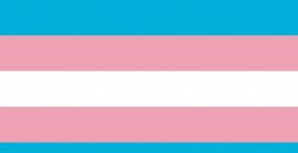 Per què el 20 de novembre és el Dia Internacional de la Memòria Transsexual?