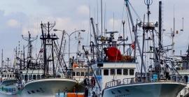 21 de novembre: Dia Mundial de la Pesca