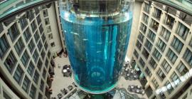 Rebenta l'AquaDom de Berlín, l'aquari cilíndric d'aigua salada més gran del món